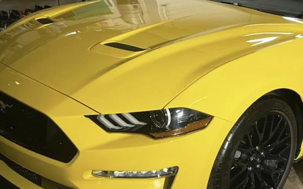 Paint protection film preserving gloss and paint clarity in Arvada Colorado
